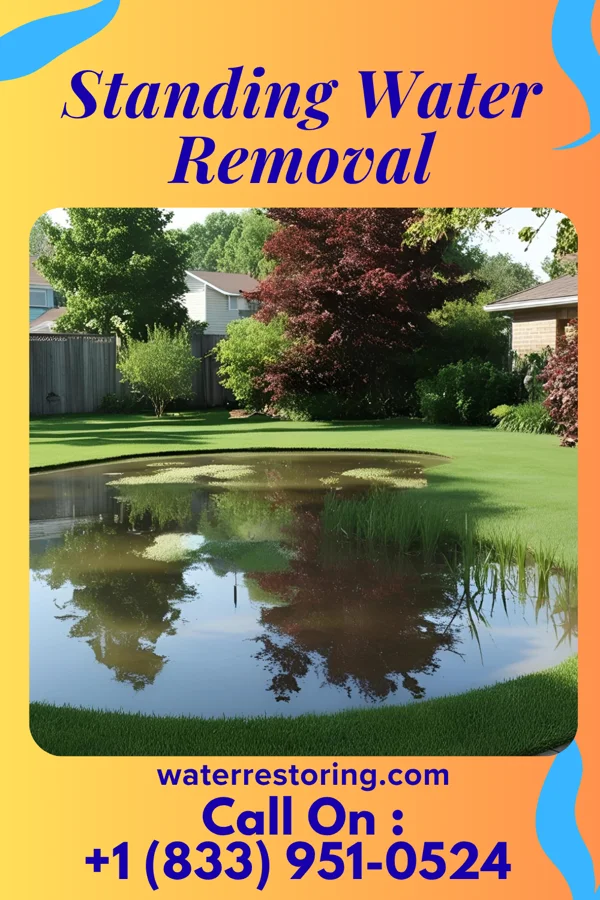 Standing Water Removal in Brewster, MN